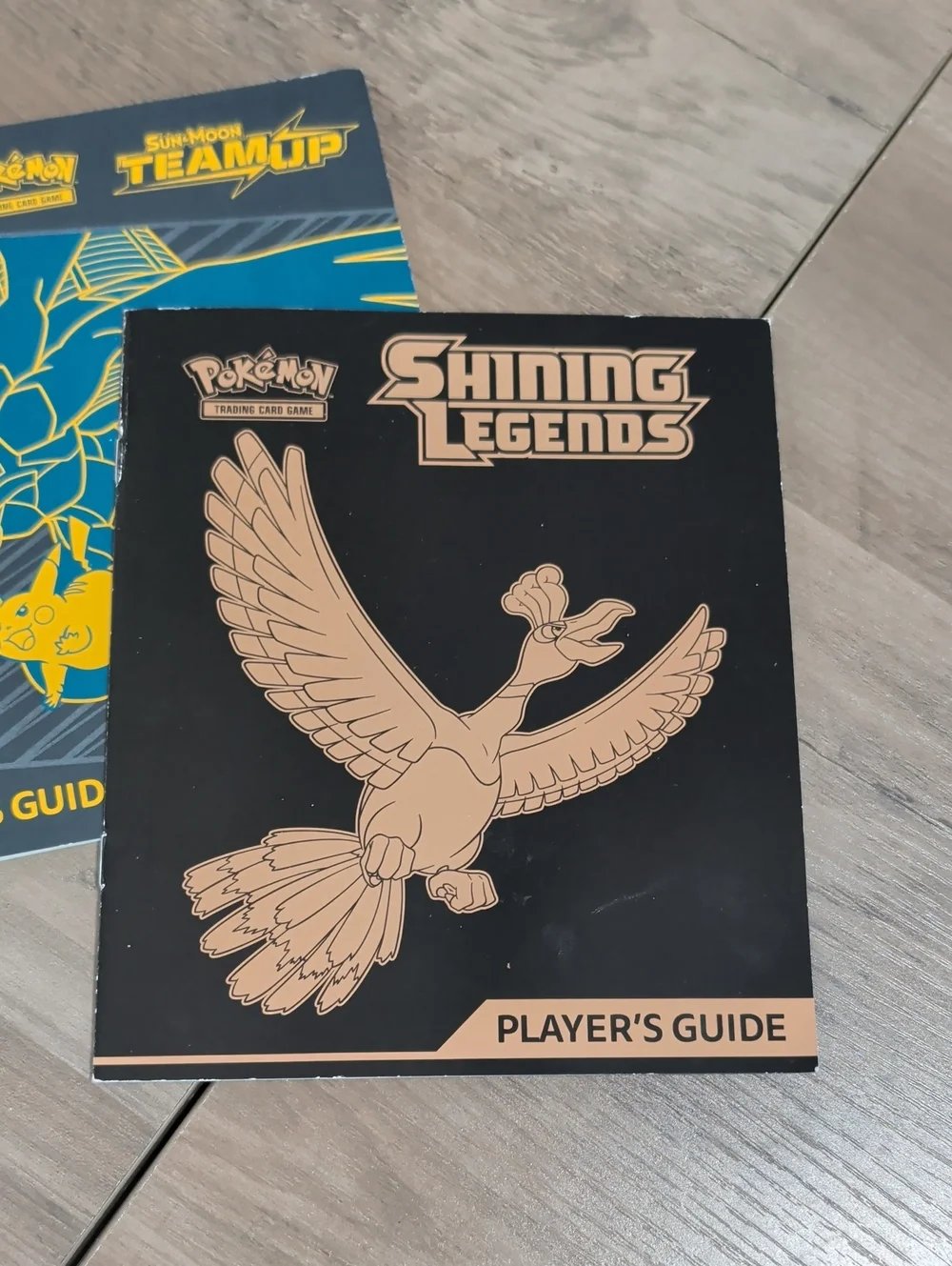 Pokemon official player’s
